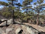 0 Redtail Trail - Photo 31