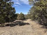 0 Redtail Trail - Photo 32