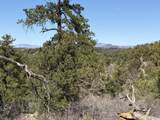 0 Redtail Trail - Photo 33
