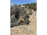 0 Redtail Trail - Photo 34
