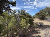 0 Redtail Trail - Photo 4