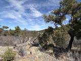 0 Redtail Trail - Photo 5