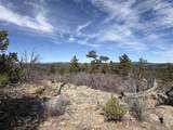0 Redtail Trail - Photo 7