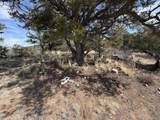 0 Redtail Trail - Photo 8