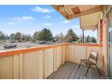 10211 Ura Ln - Photo 10