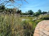 1207 Lincoln St - Photo 40
