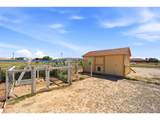 1218 Onizuka Ln - Photo 36