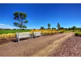10678 Truckee St - Photo 36
