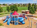 10678 Truckee St - Photo 44