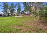 4804 Pine Rd - Photo 39