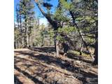 5213 Taylor Rd - Photo 13