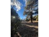  Forbes Rd - Photo 12