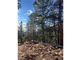 Forbes Rd - Photo 4