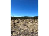 247 Thickspike - Photo 5