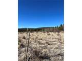 247 Thickspike - Photo 9