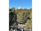 7860 Platten Rd - Photo 9
