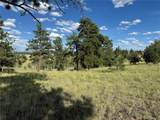 833 Angus Cir - Photo 3