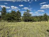 833 Angus Cir - Photo 7