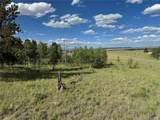 833 Angus Cir - Photo 9