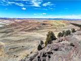 250 Bakabi Rd - Photo 1