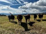 16103 Us Highway 285 - Photo 44