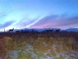 16103 Us Highway 285 - Photo 49