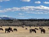 16103 Us Highway 285 - Photo 50