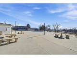 9775 Croke Dr - Photo 48