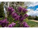 3455 Black Canyon Rd - Photo 17