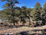4554 Clausen Rd - Photo 25
