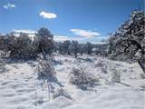 1946 Lone Pine Way - Photo 11