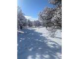 1946 Lone Pine Way - Photo 12