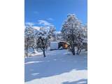 1946 Lone Pine Way - Photo 9