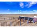 12580 County Road Z.5 - Photo 9