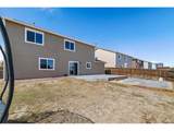 3893 Winter Sun Dr - Photo 39
