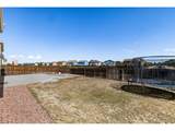 3893 Winter Sun Dr - Photo 41