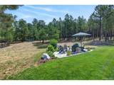 4342 Mountain Dance Dr - Photo 40