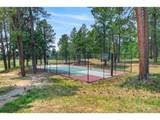 4342 Mountain Dance Dr - Photo 44