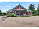 4342 Mountain Dance Dr - Photo 45