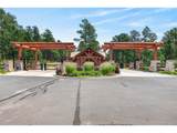 4342 Mountain Dance Dr - Photo 46