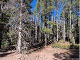 3375 Purnell Ln - Photo 12