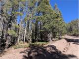 3375 Purnell Ln - Photo 4