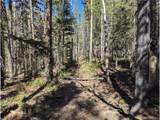 3375 Purnell Ln - Photo 6