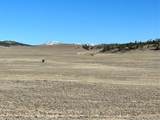 4284 Goldenberg Canyon Rd - Photo 2
