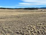 4284 Goldenberg Canyon Rd - Photo 24