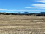 4284 Goldenberg Canyon Rd - Photo 28