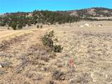 4284 Goldenberg Canyon Rd - Photo 5