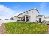 1228 Argali Dr - Photo 22