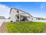 1228 Argali Dr - Photo 23