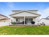 1228 Argali Dr - Photo 24